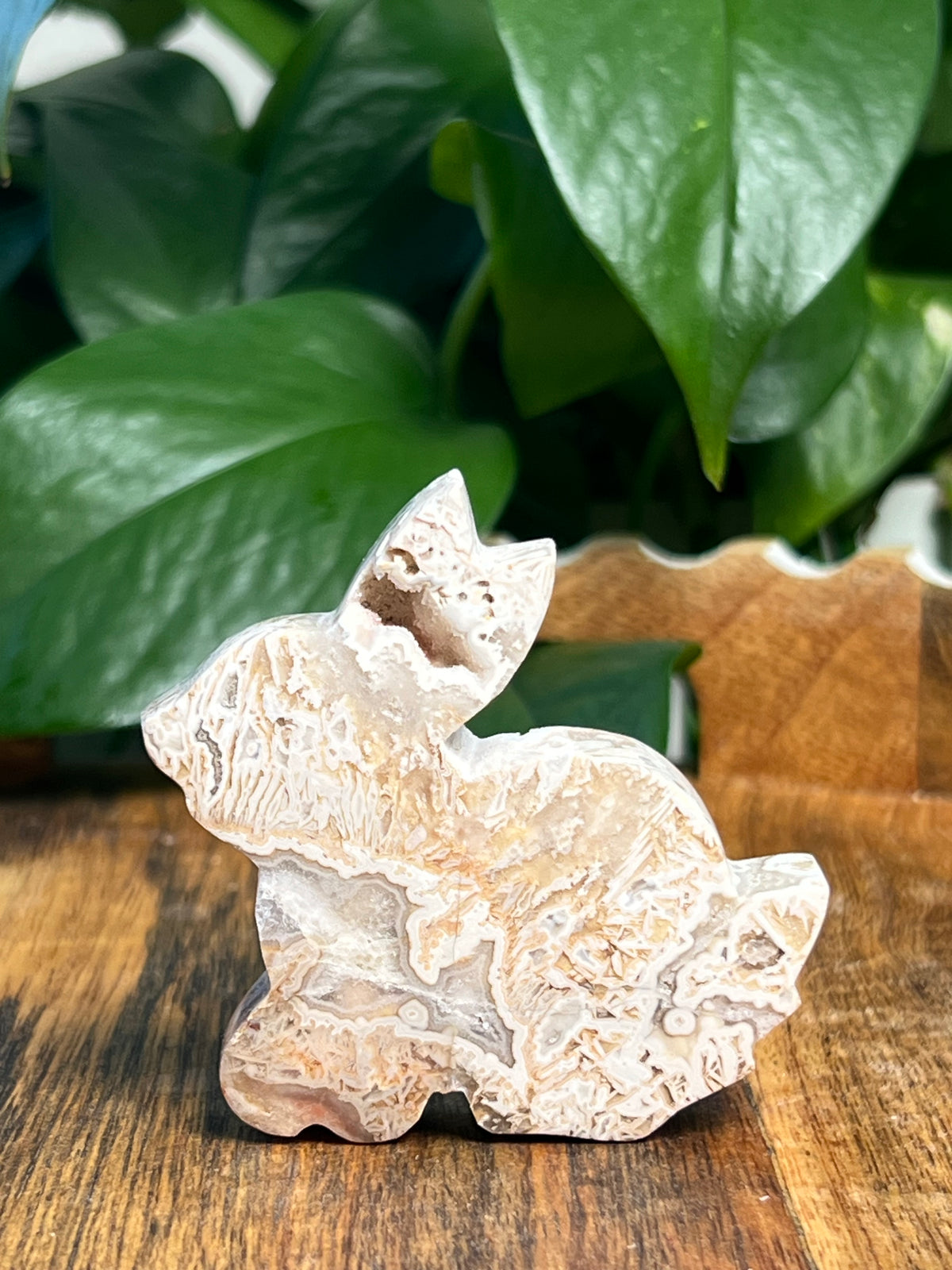 Tube Agate Bunnies