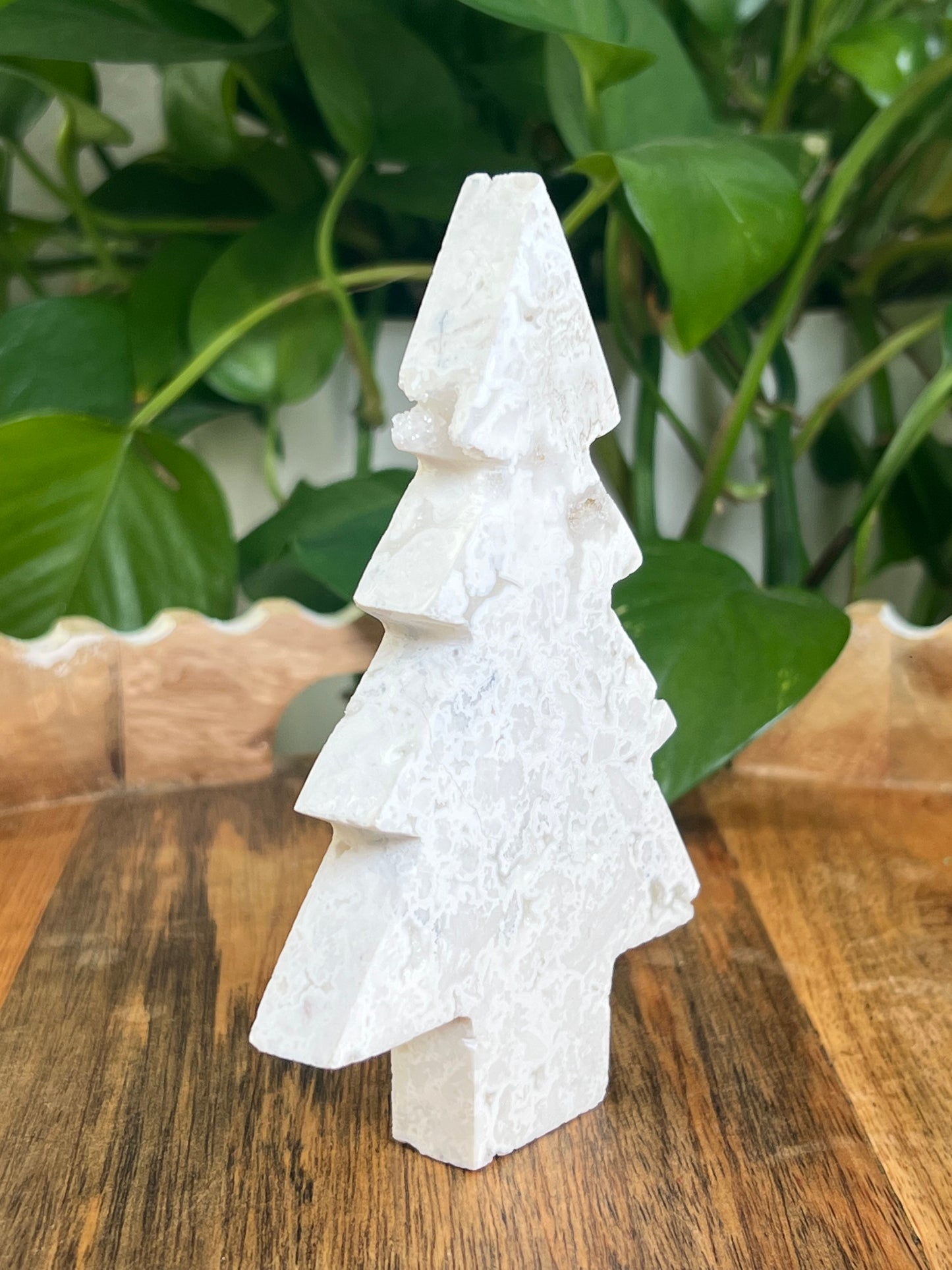 White Plume Agate Tree: DC