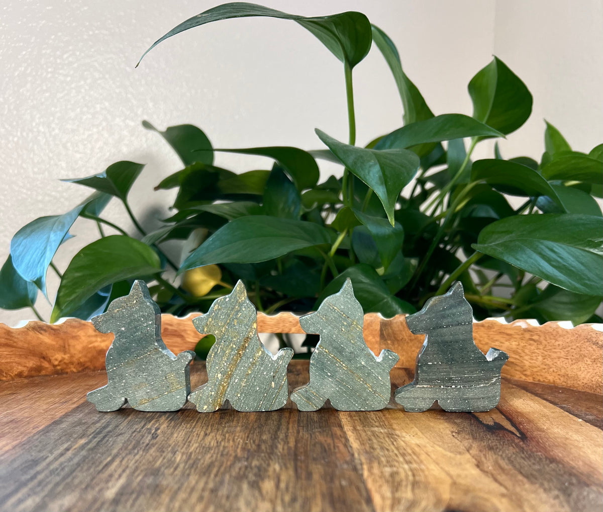 Blue Green Jasper Dogs