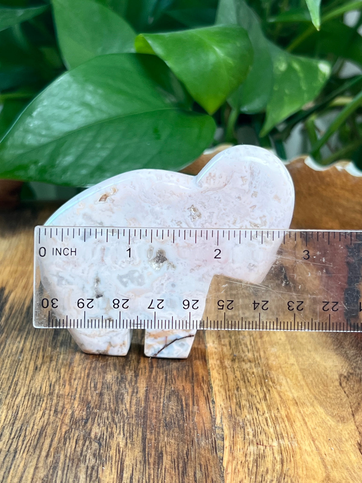 Pink Carnelian Buffalo: VA