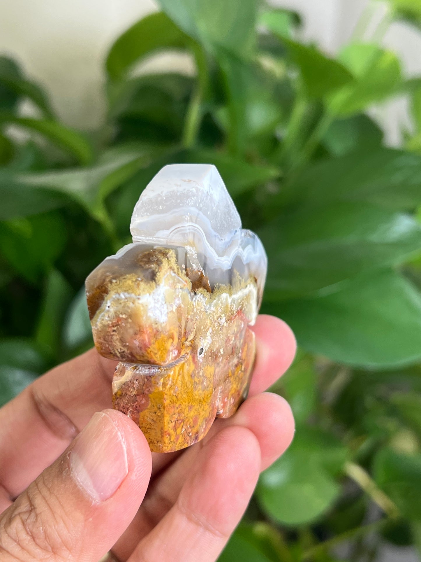 Scenic Moss Agate Flower ND