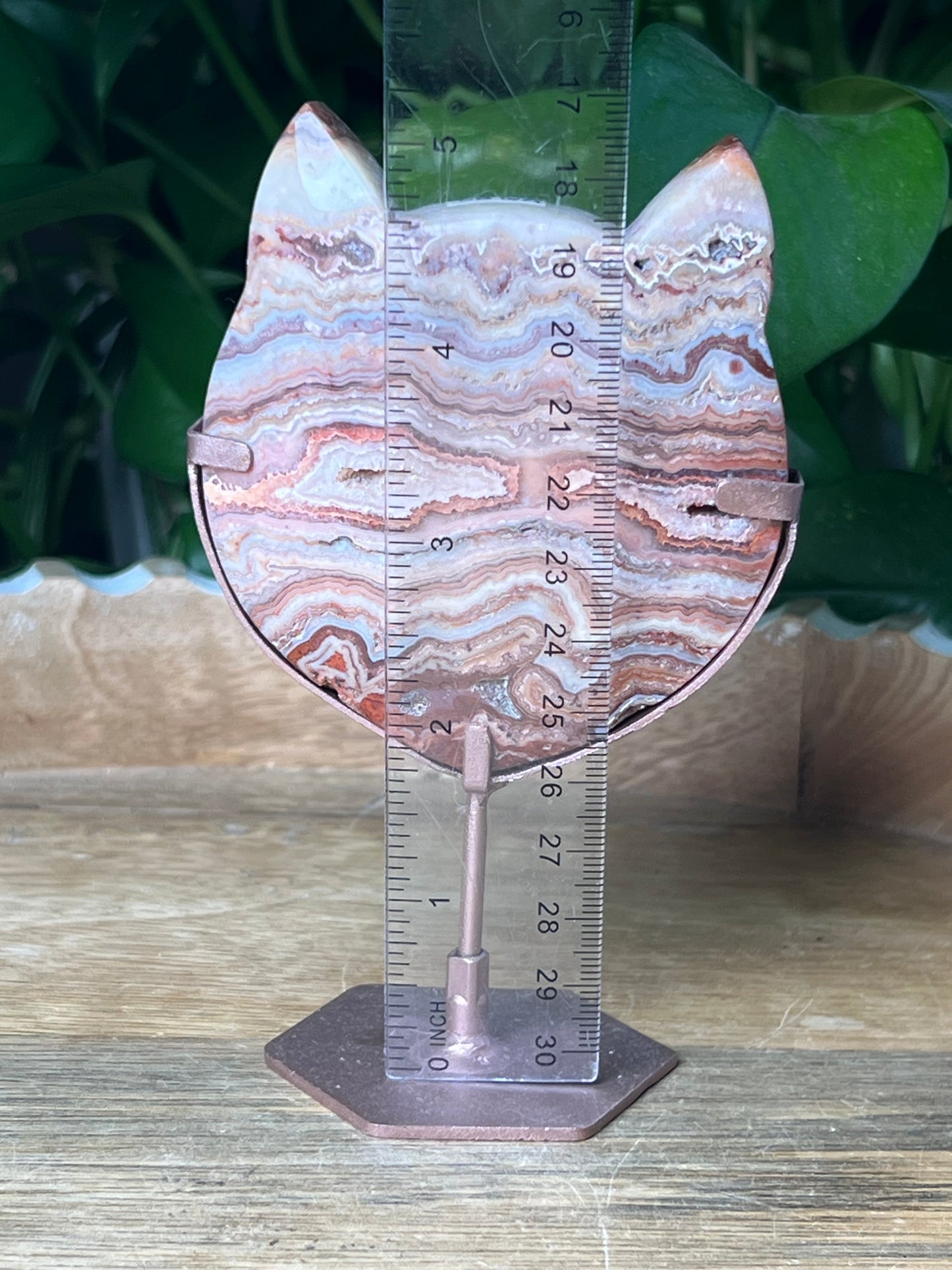Crazy Lace Agate Cat Head