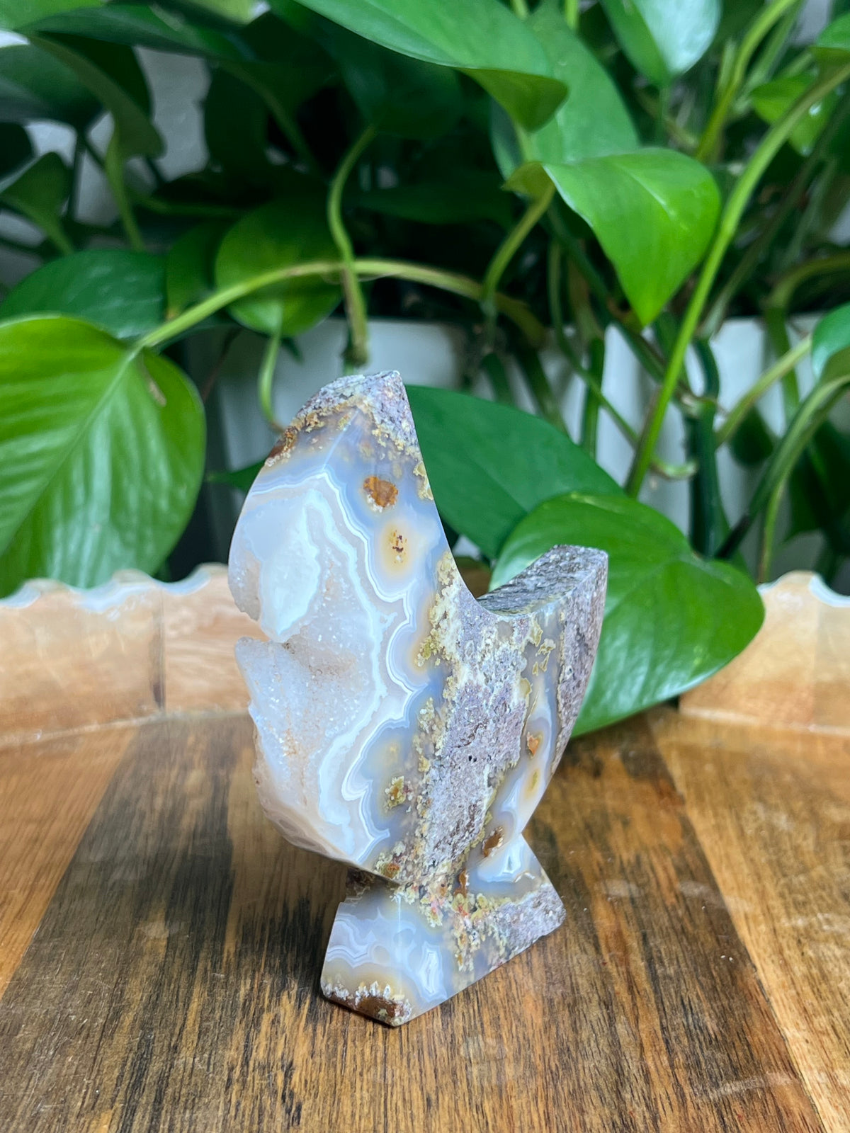 Scenic Moss Agate Self-Standing Moon: PS