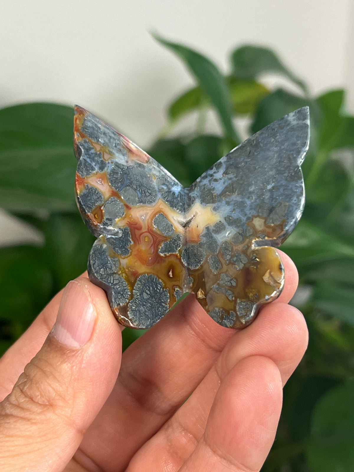 Marcasite 3D Butterflies