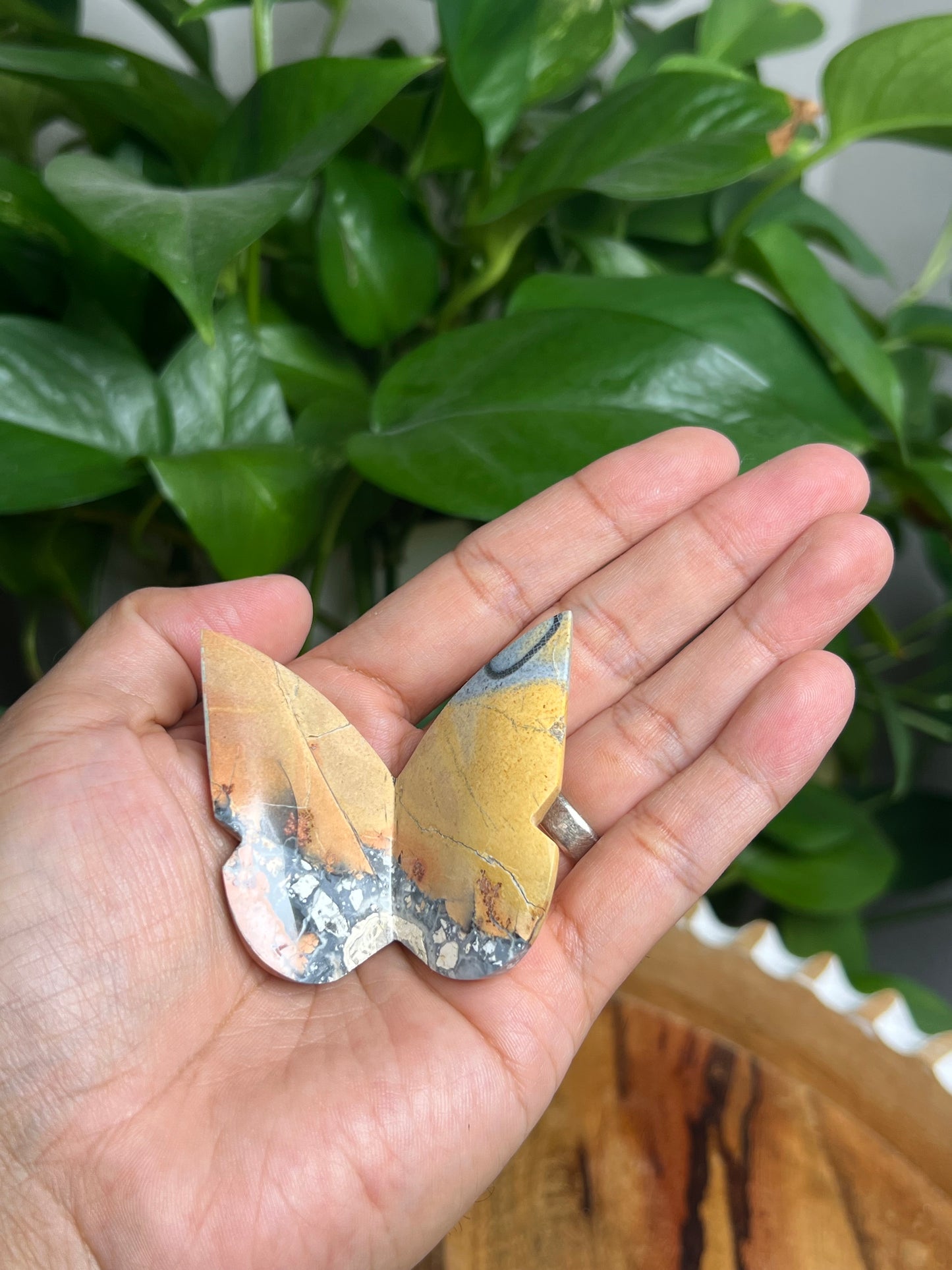 Maligano 3D Butterfly: BC