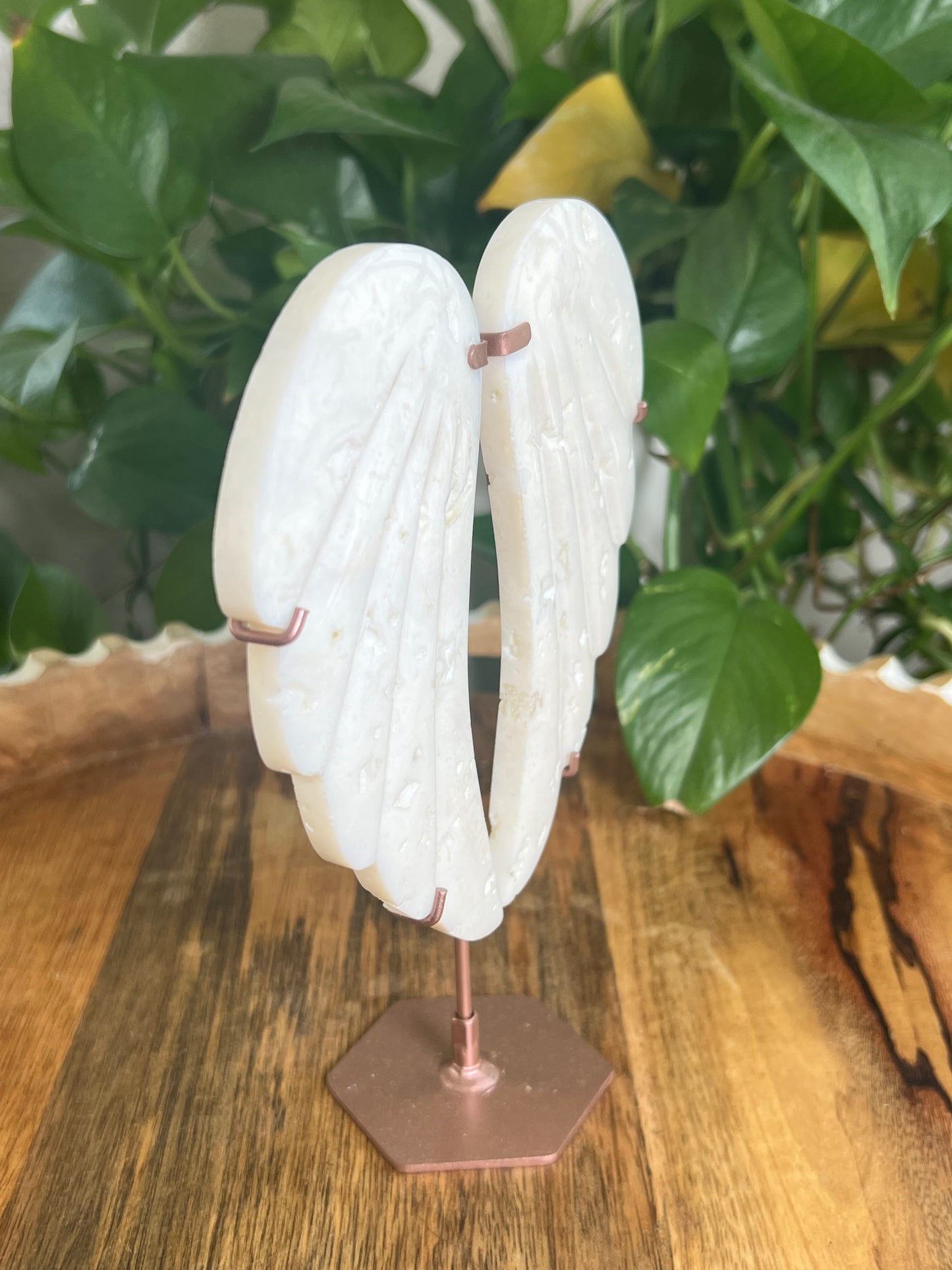 White Plume Agate Wings TB
