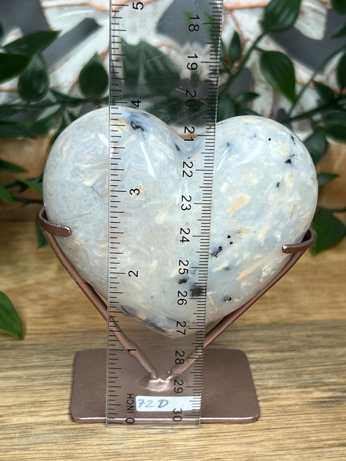 Dendritic Tiger Agate Heart