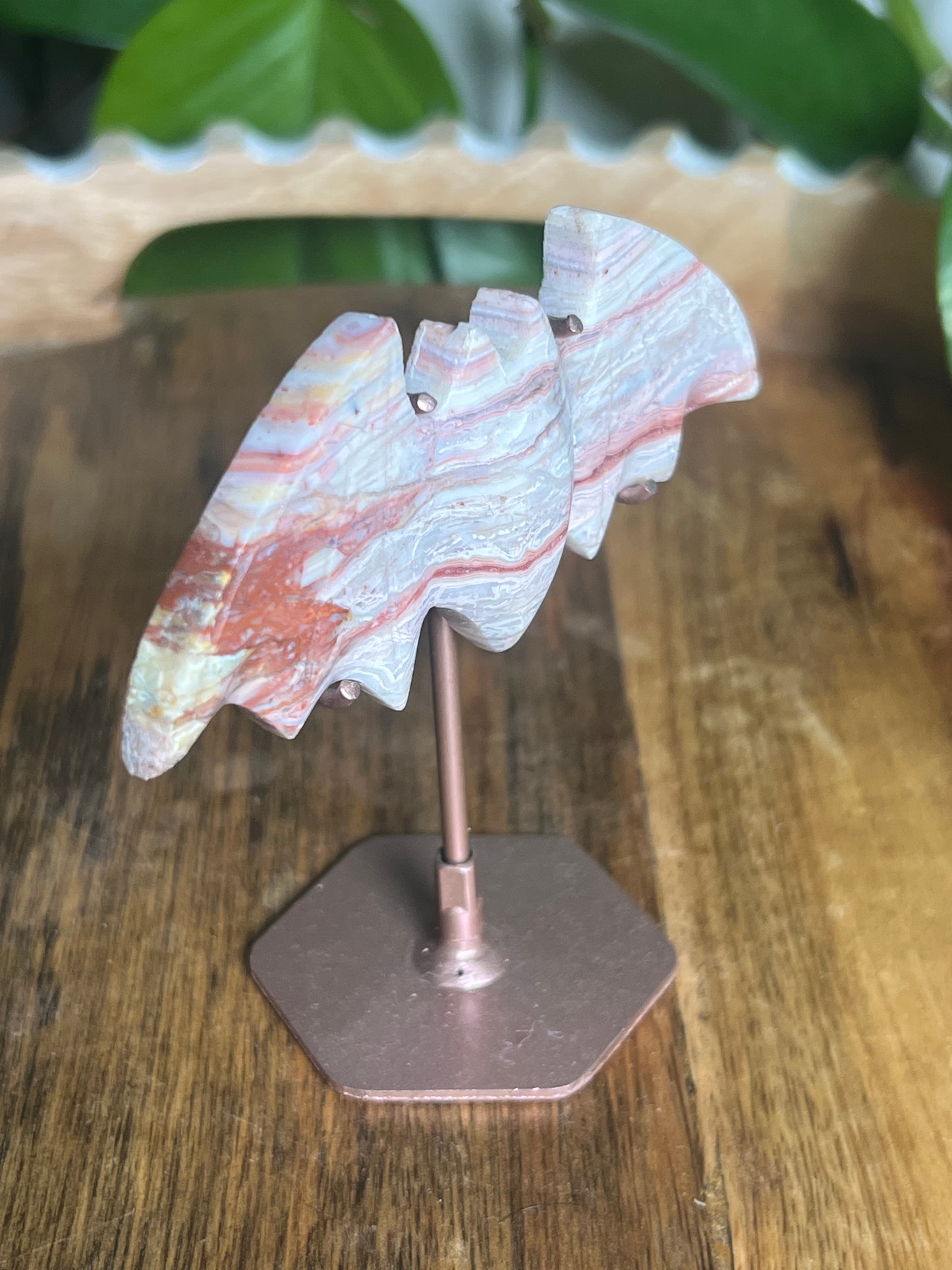 Crazy Lace Agate Bat