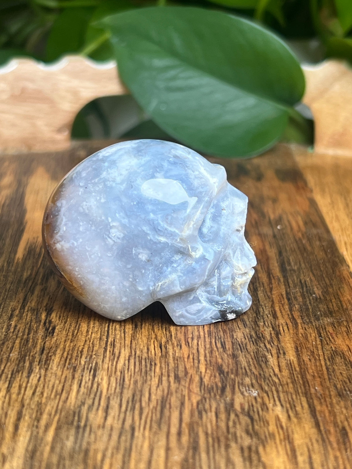 Blue Plume Agate Skull: E