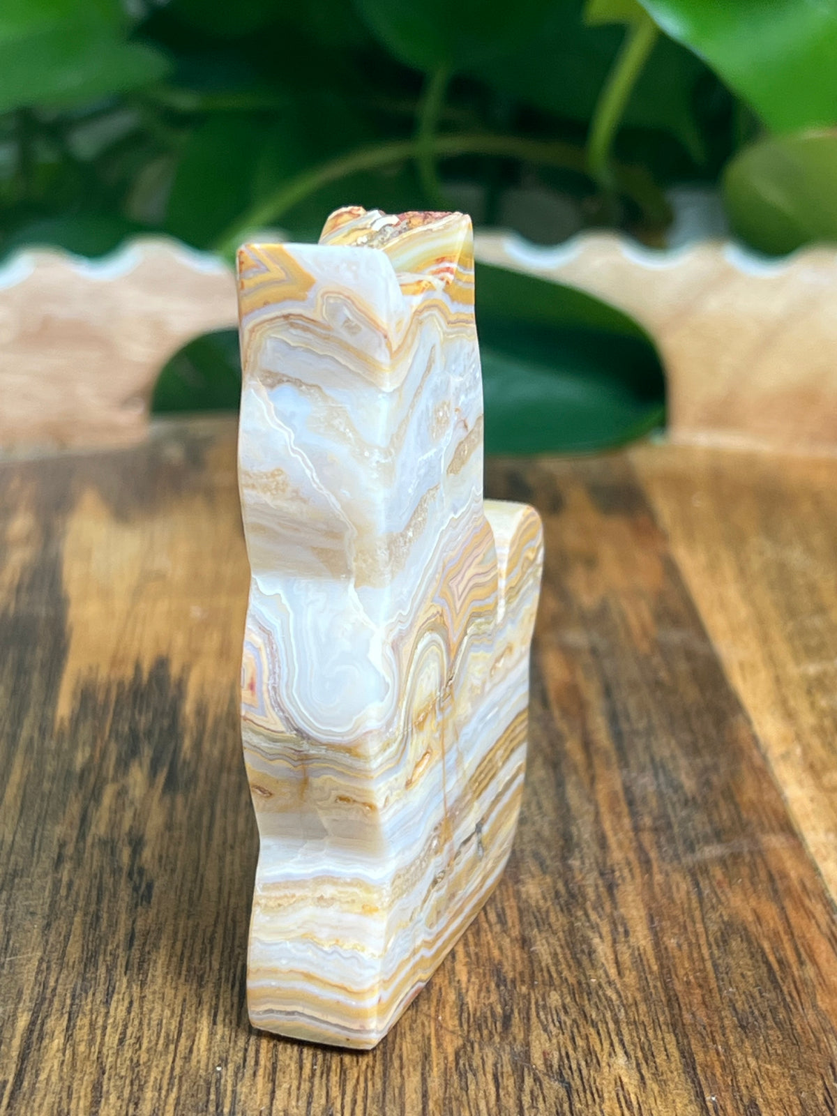 Crazy Lace Agate Cat: NG