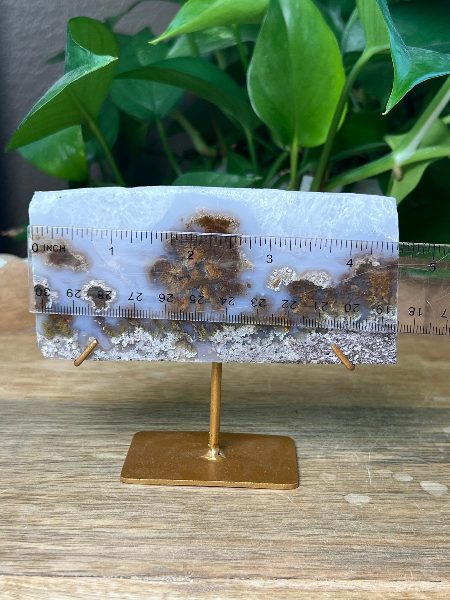 Scenic Moss Agate Slab