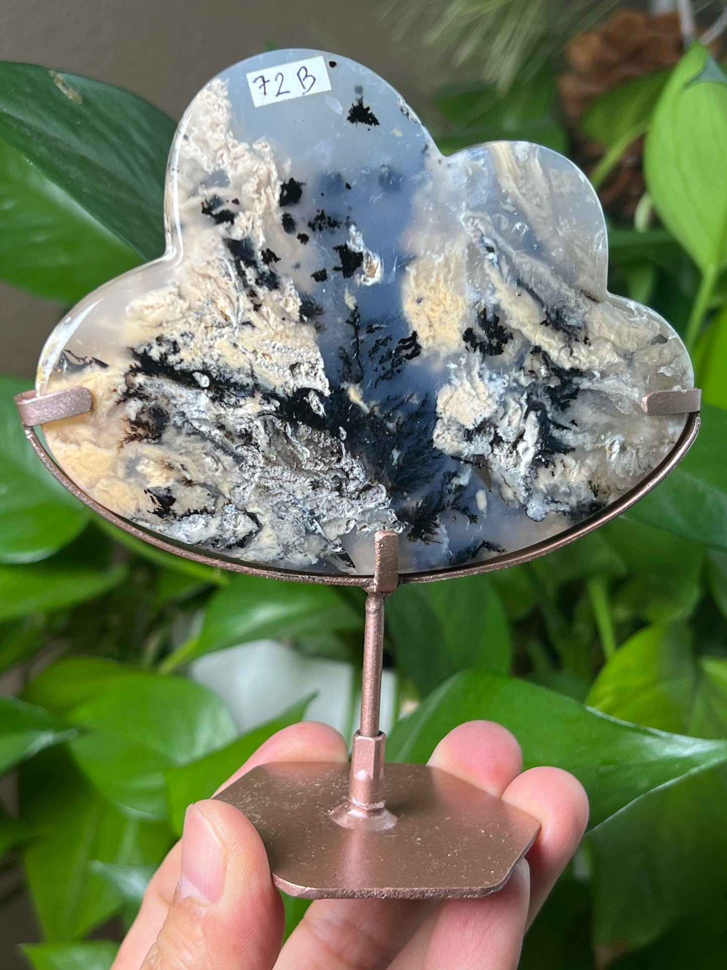 Dendritic Tiger Agate Cloud