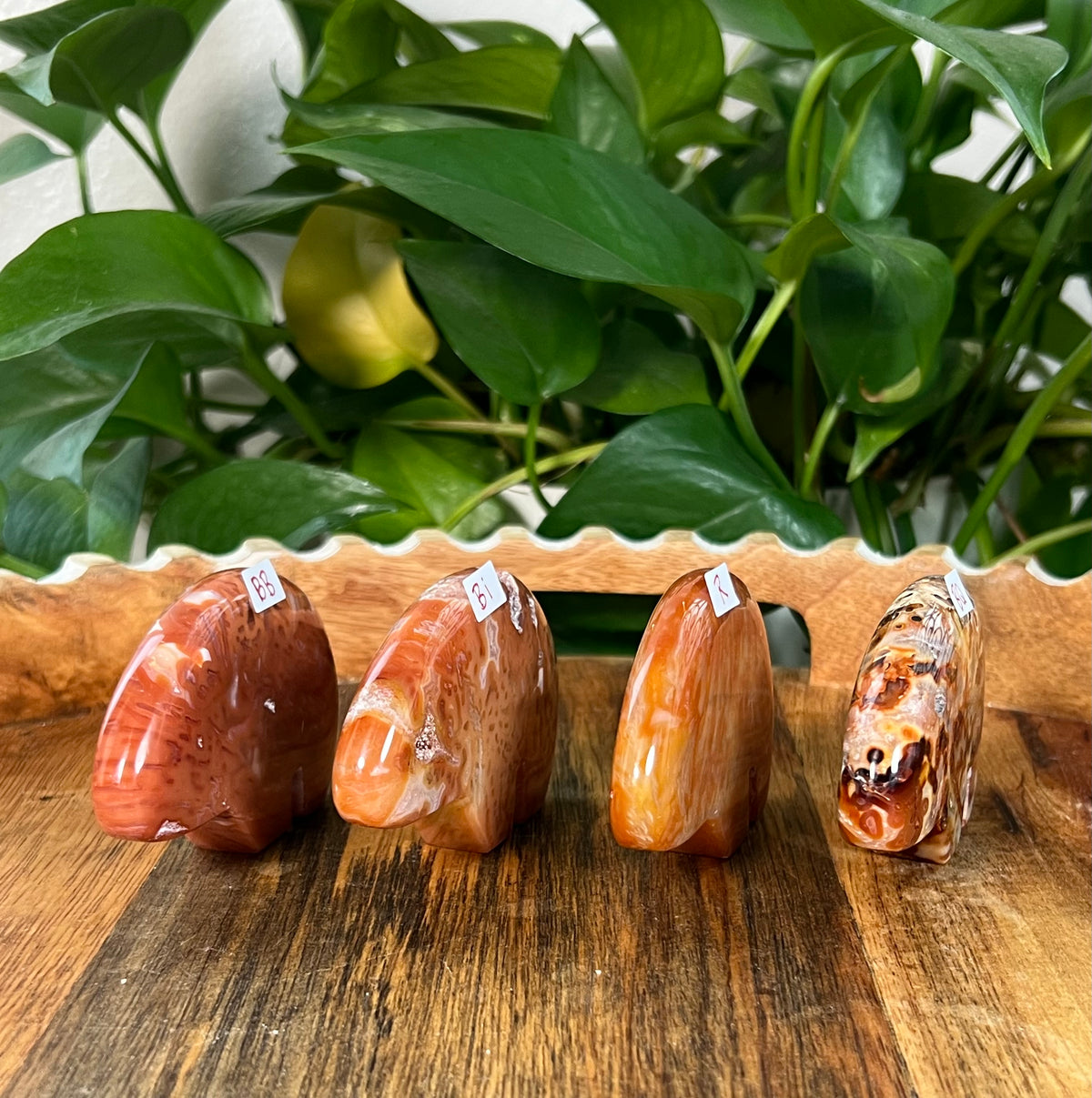 Red Carnelian Bears