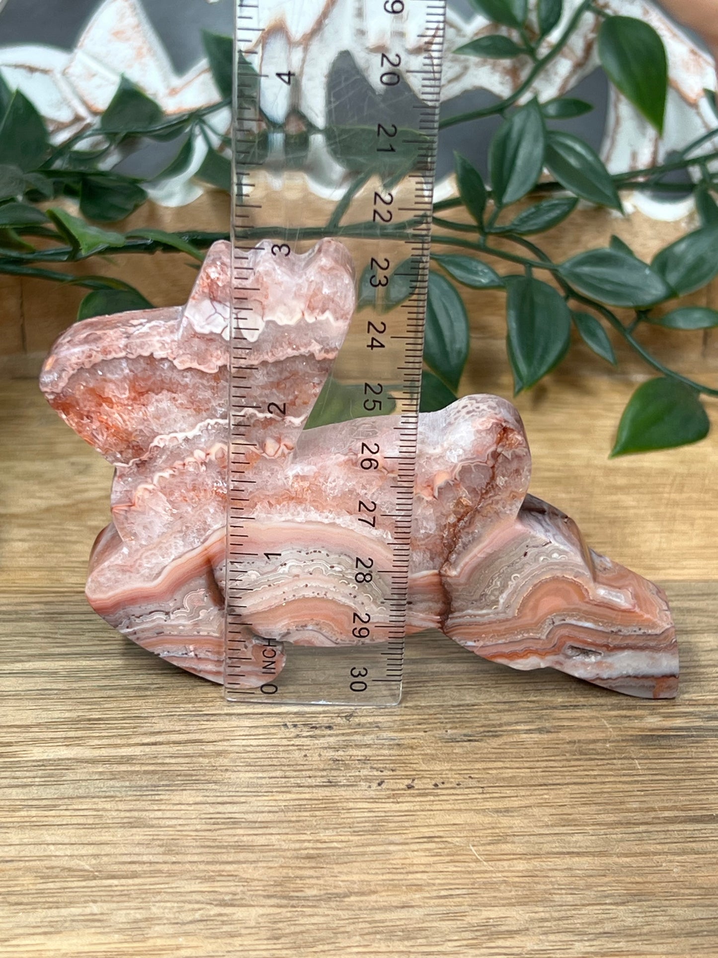 Pink Crazy Lace Agate Deer