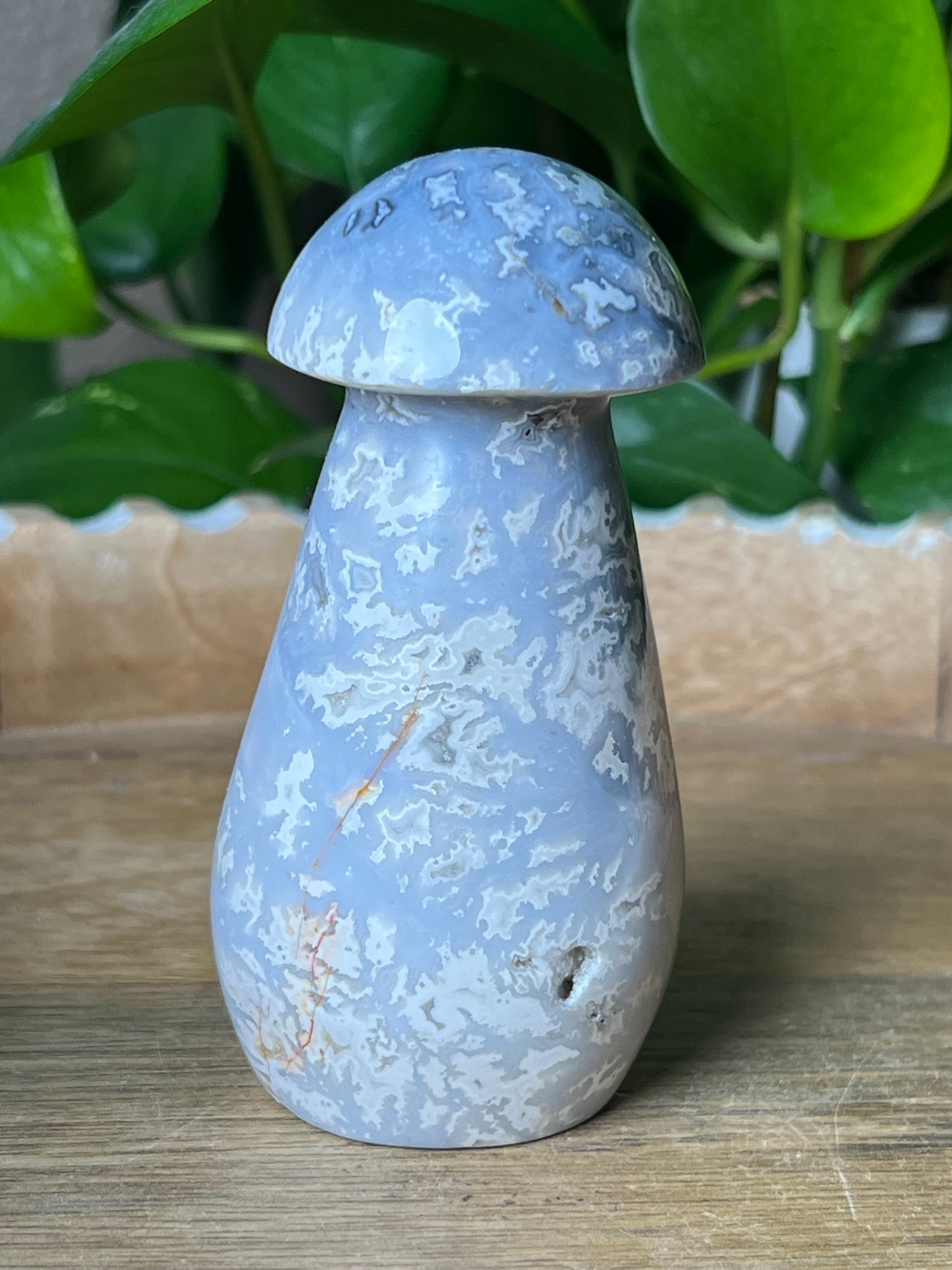 Blue Plume Agate Mushroom: PL