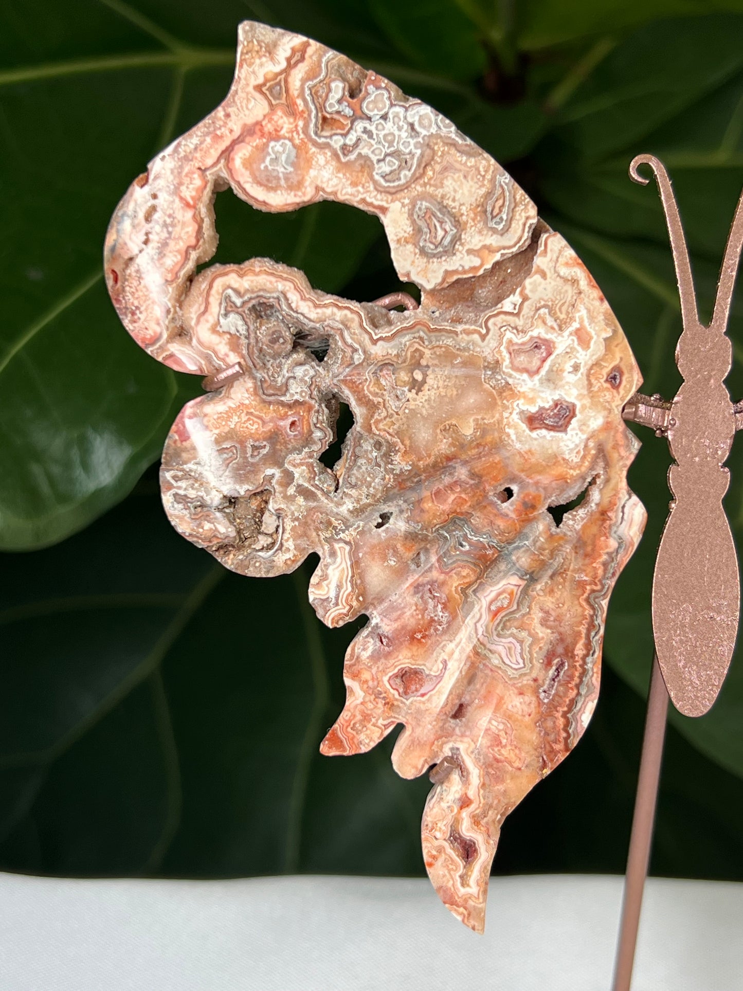 Crazy Lace Agate Wings