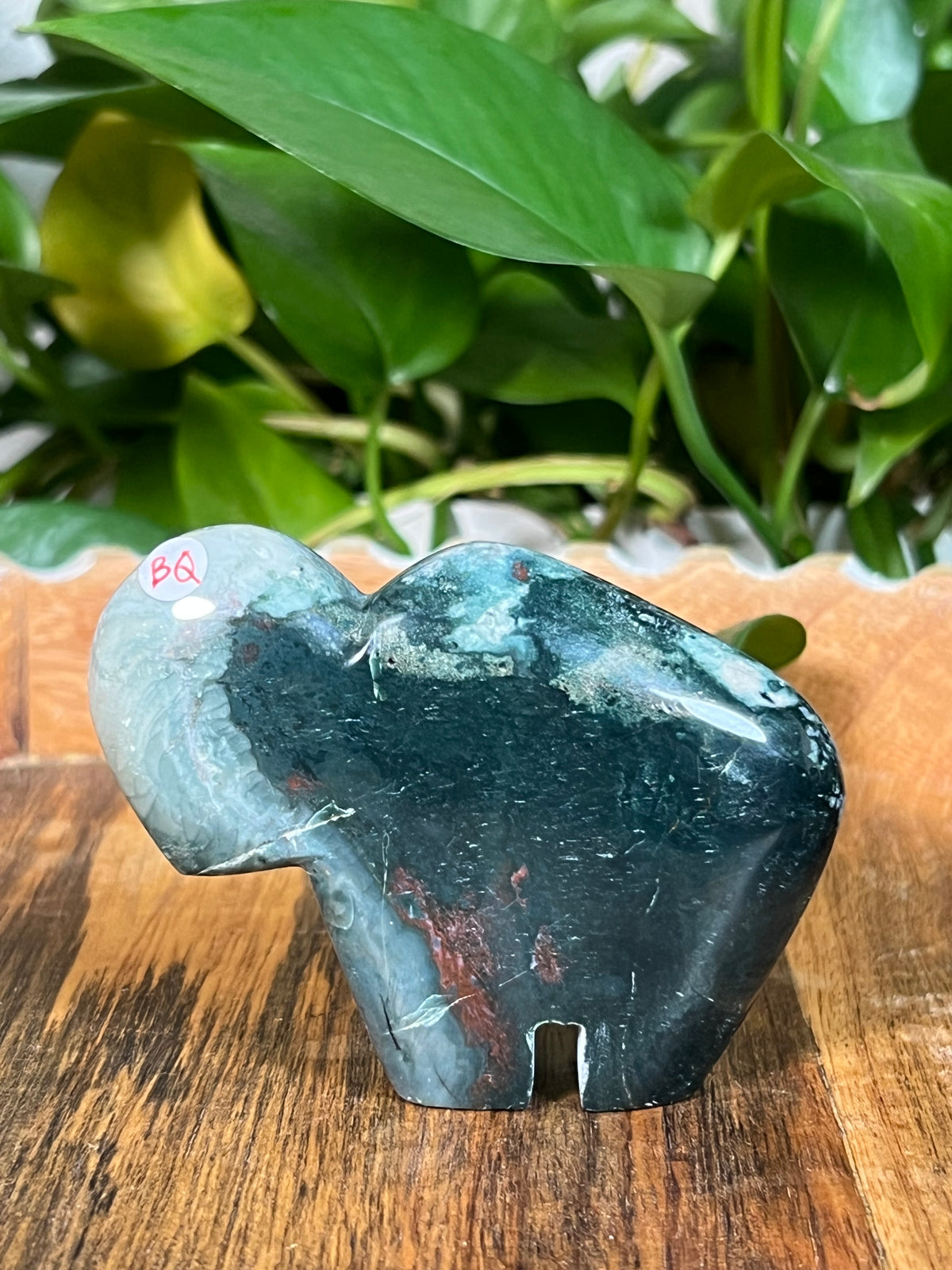 Blue Green Jasper Buffalos