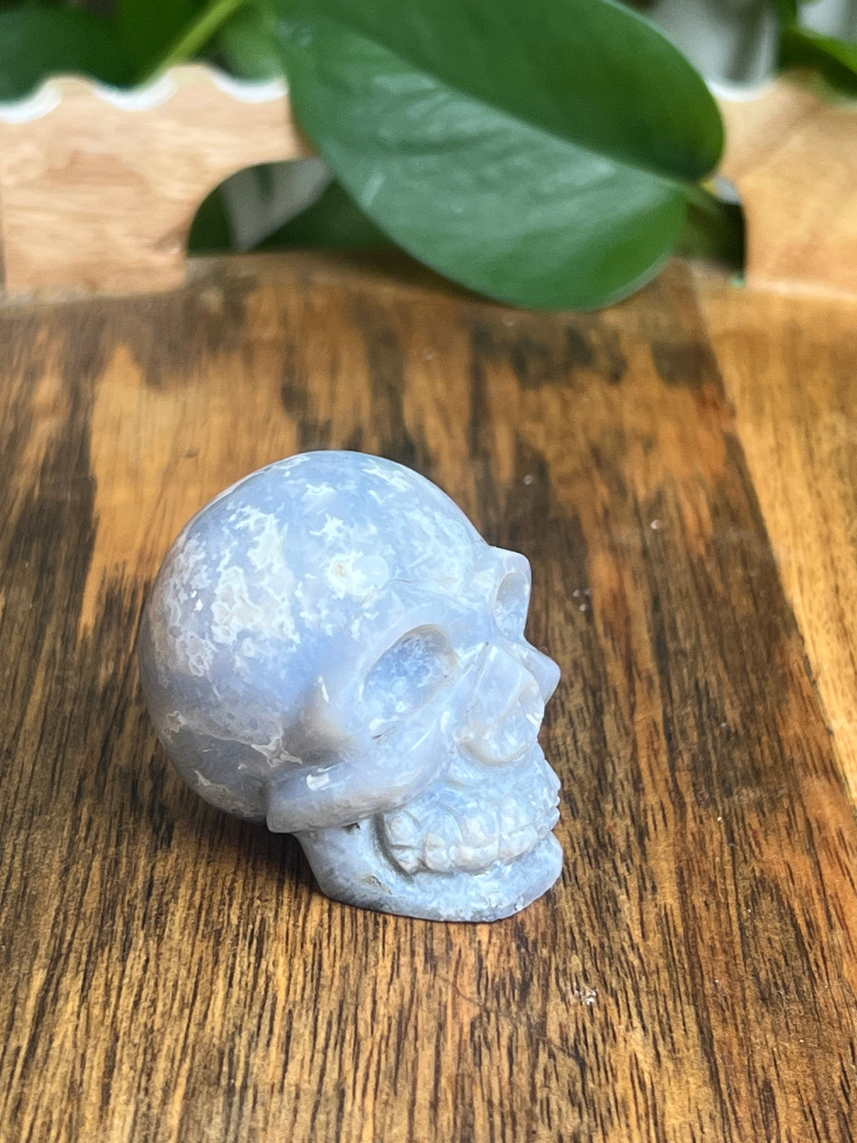 Blue Plume Agate Skull: BA