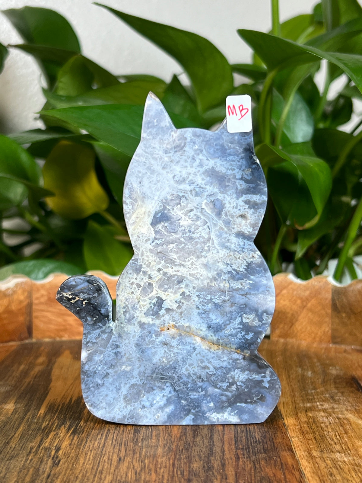 Blue Plume Agate Cats