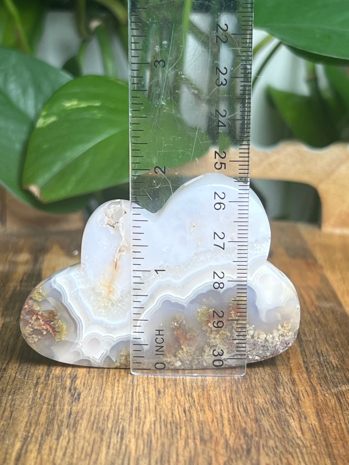 Scenic Moss Agate Cloud: VF