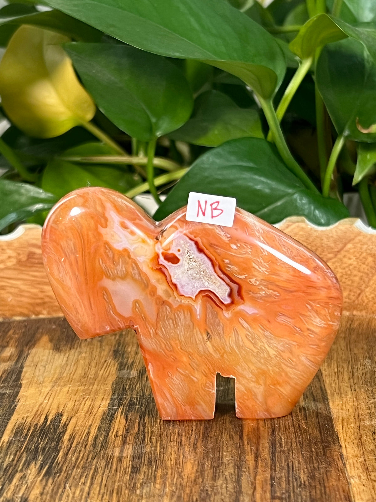 Red Carnelian Buffalos