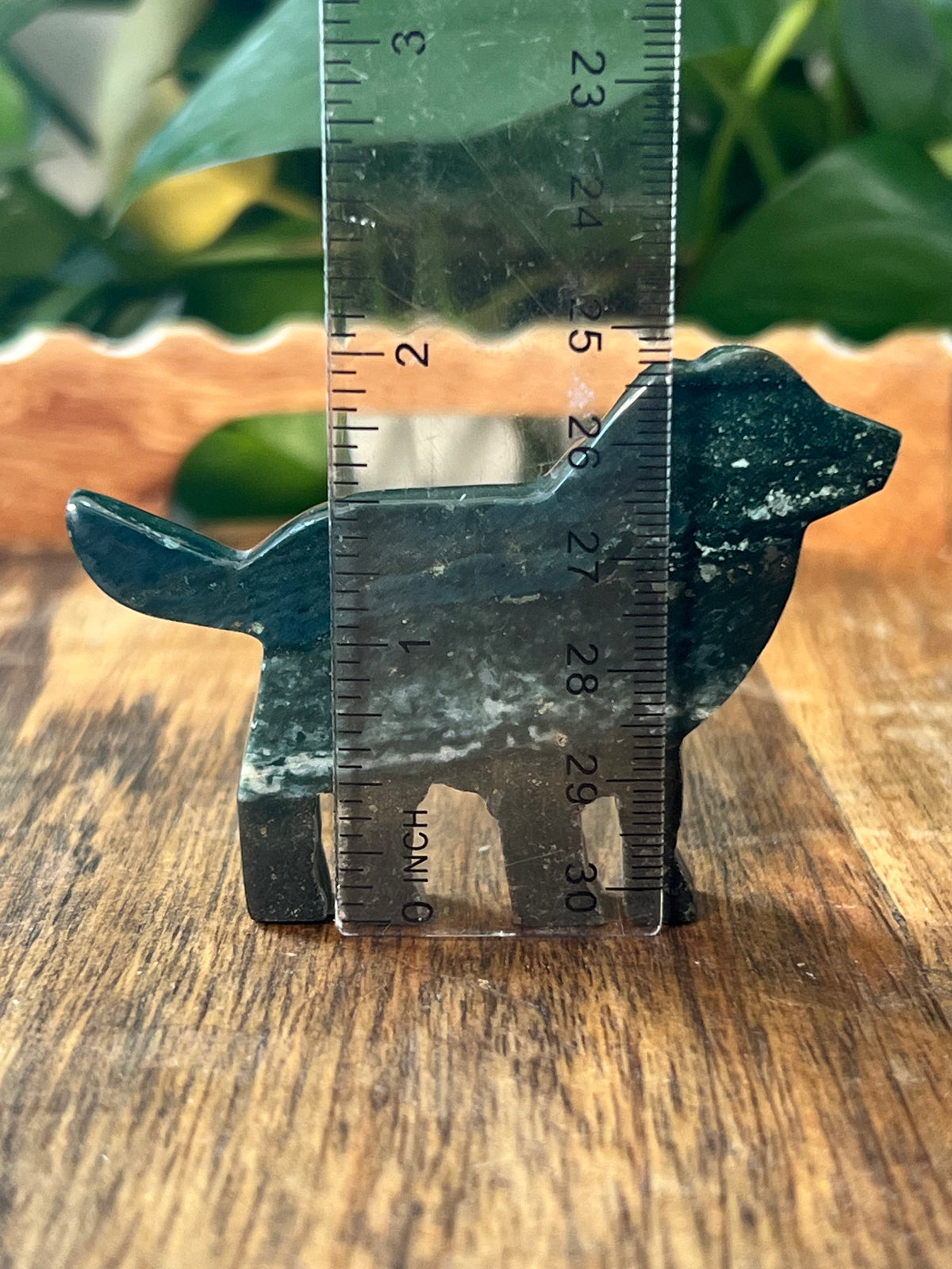 Blue Green Jasper Dogs
