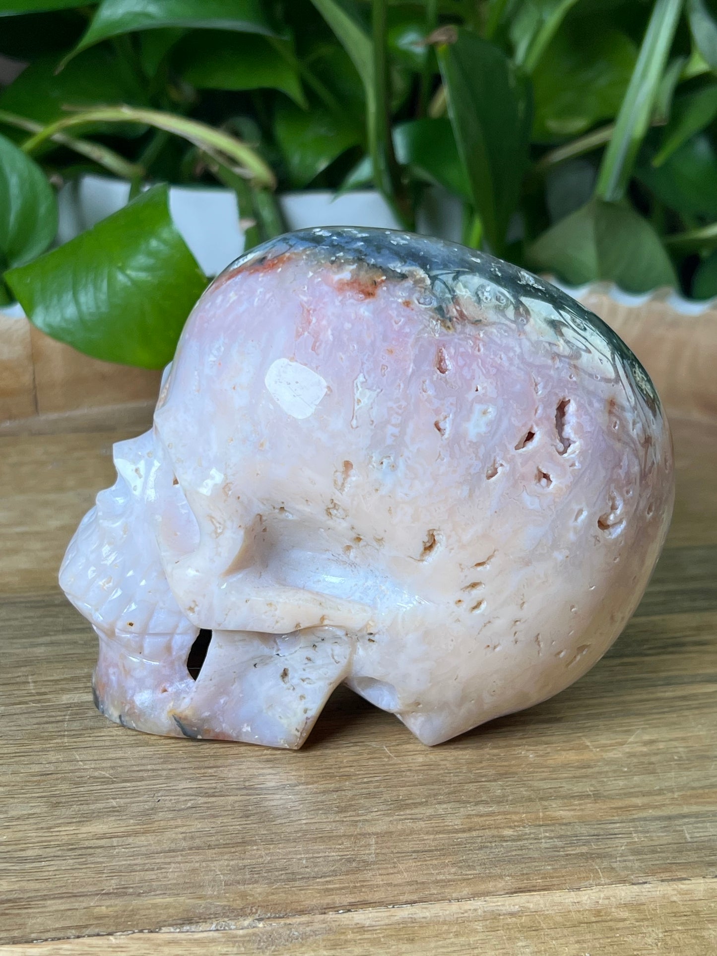 Rainbow Plume Agate Skull