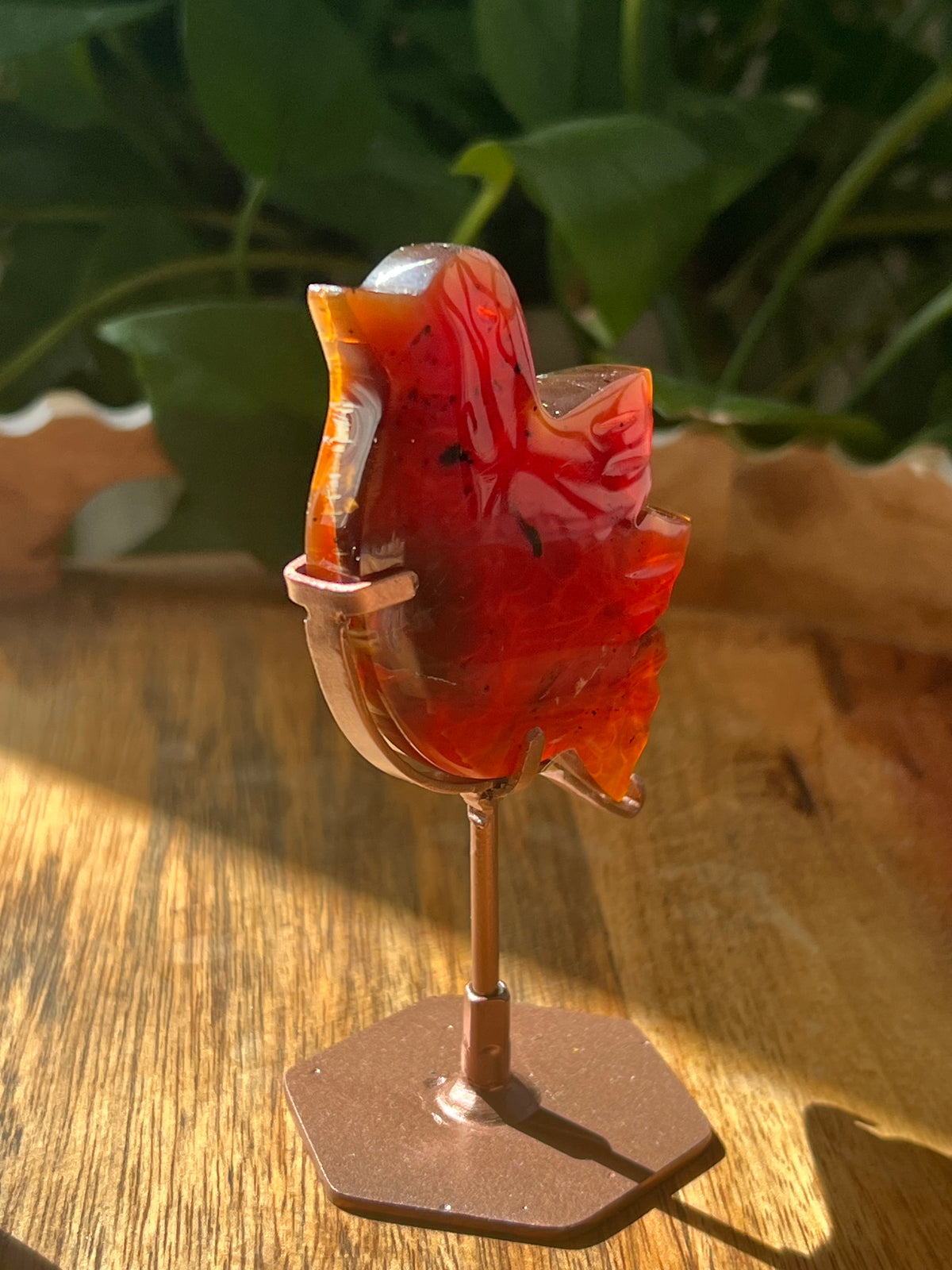 Blue Amber Bird: AC