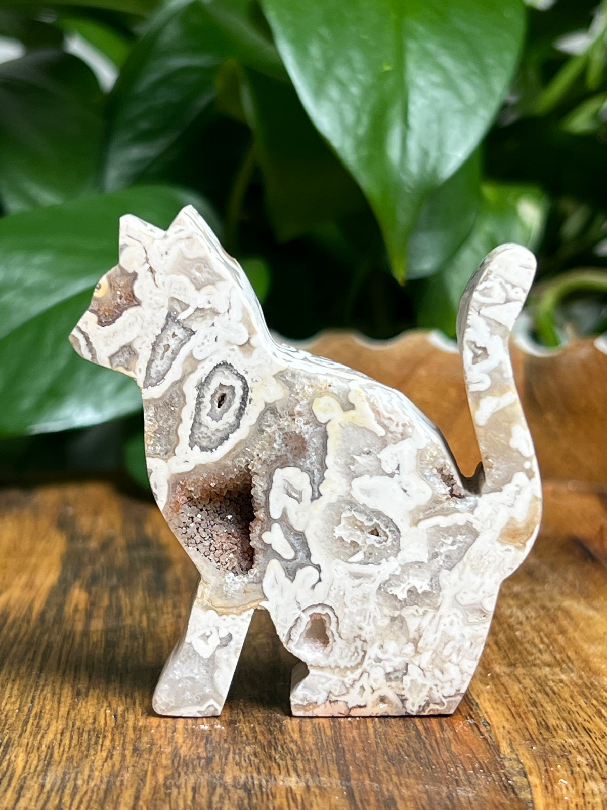 Tube Agate Cats