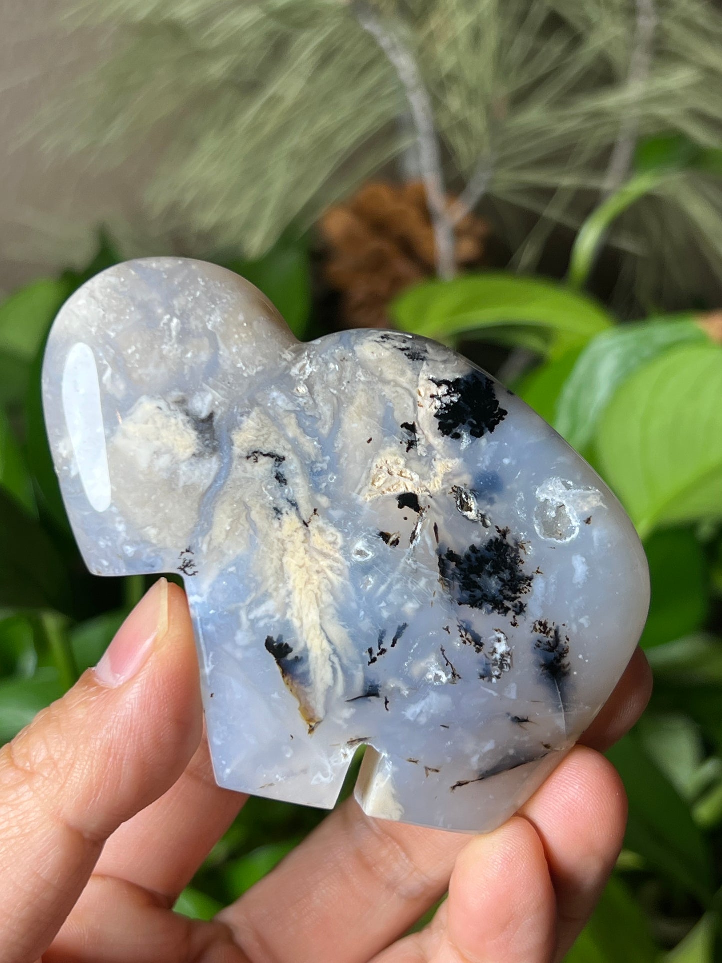 Dendritic Tiger Buffalo