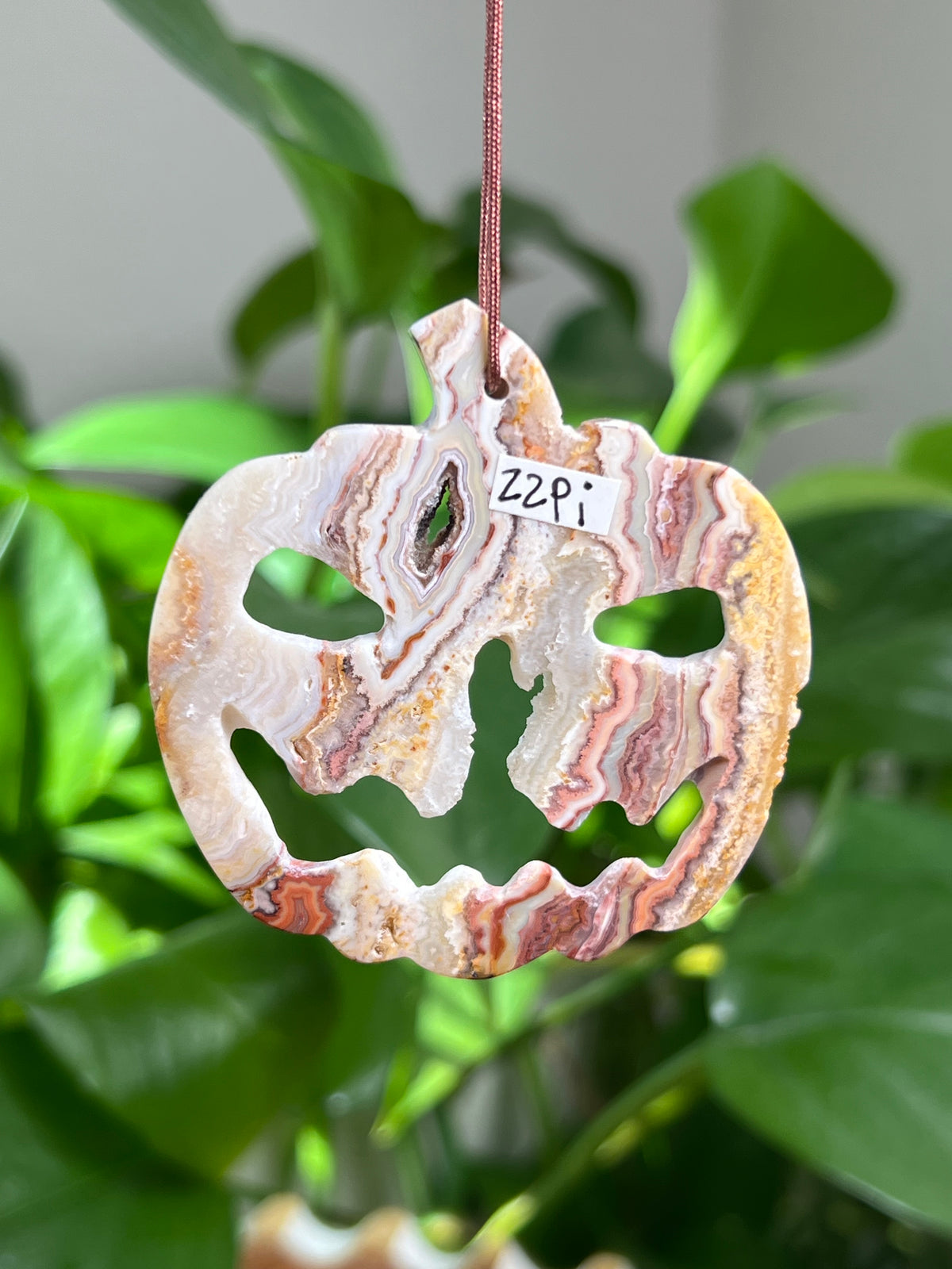 Crazy Lace Agate Ornament Pumpkin:  Pi