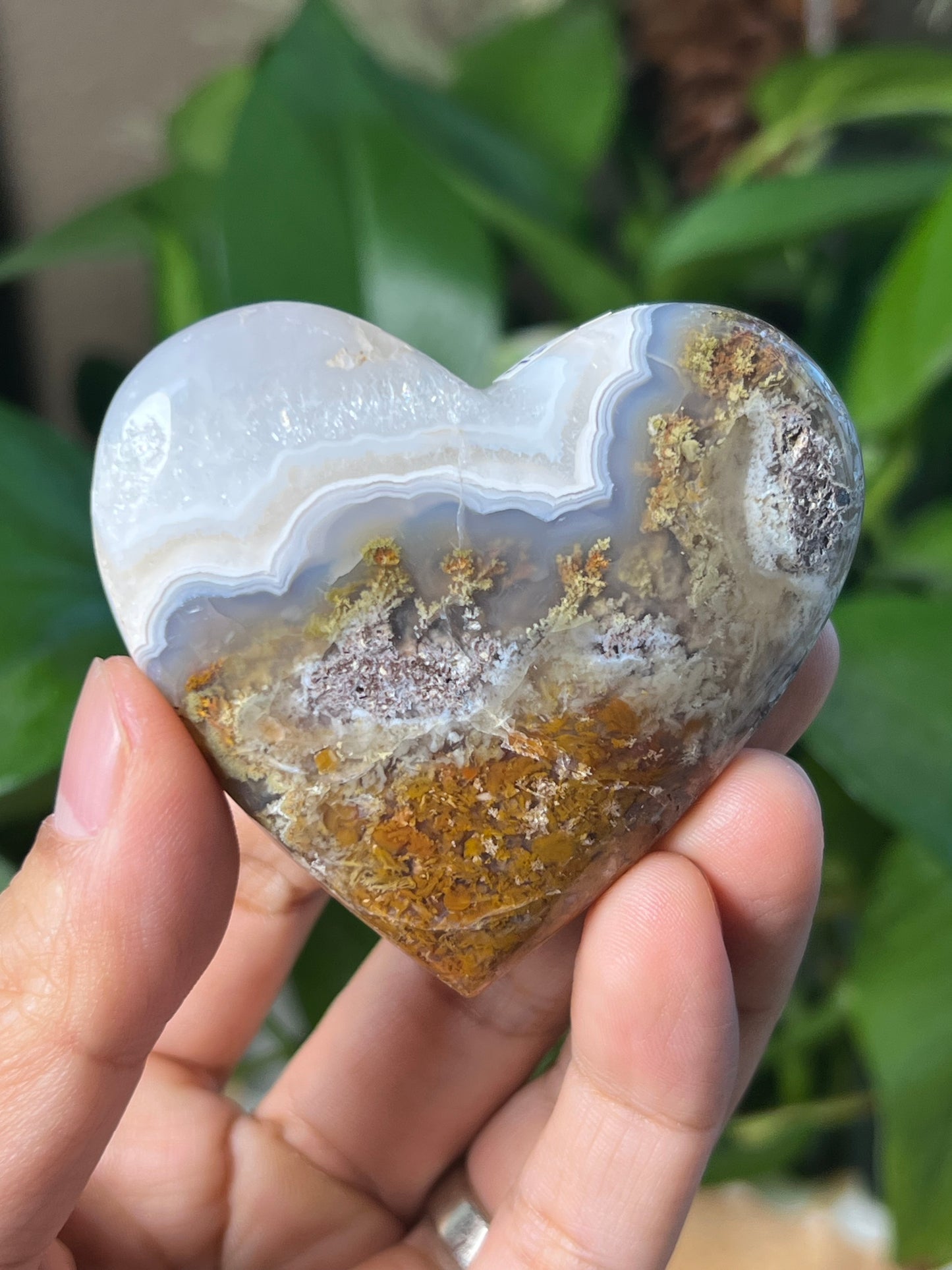 Scenic Moss Agate Heart
