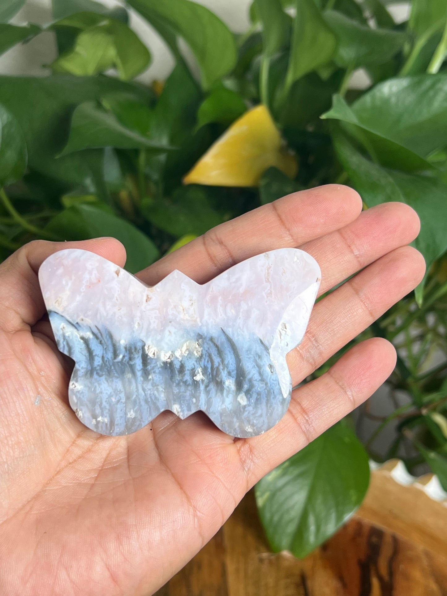Rainbow Plume Agate Butterfly RB