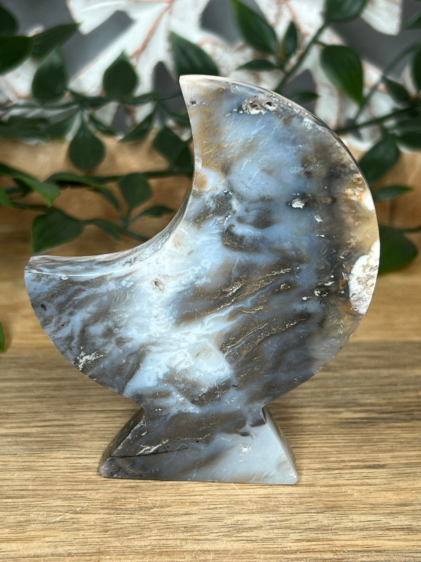 Dendritic Tiger Agate Moon