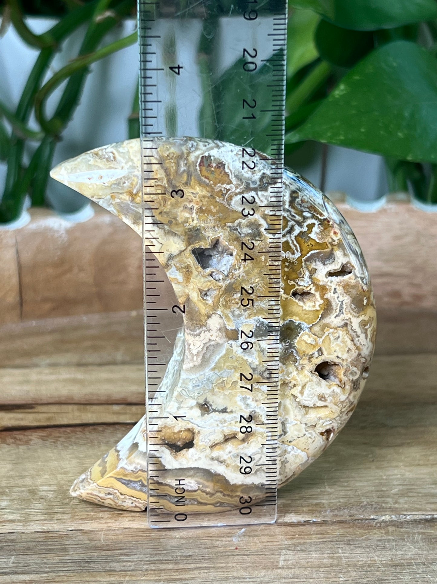 Crazy Lace Agate Moon