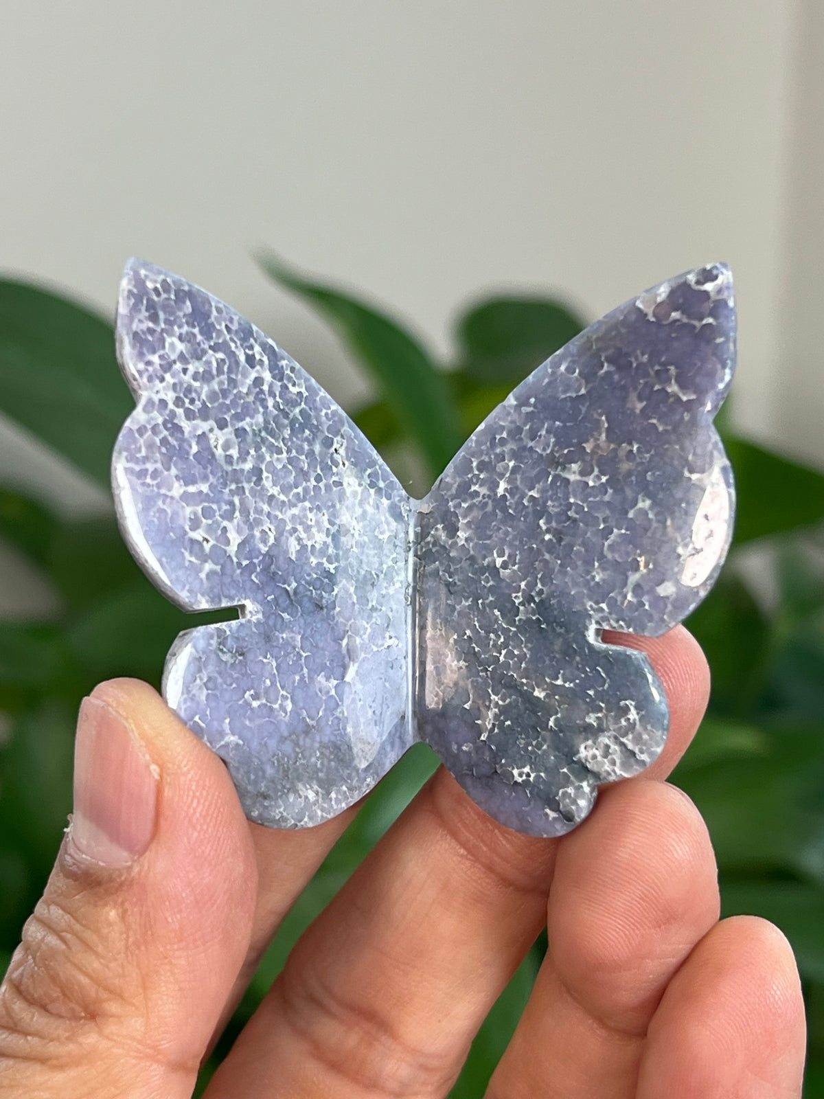 Grape Agate 3D Butterflies