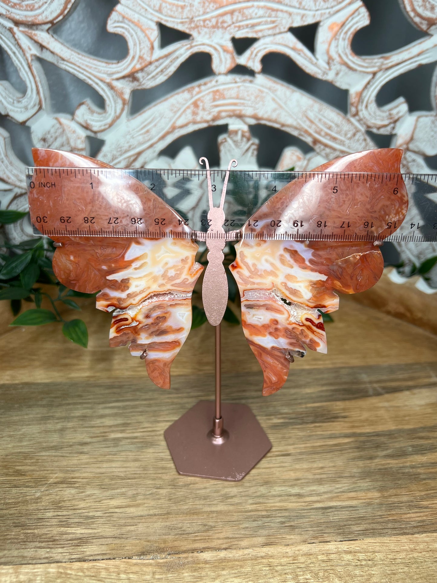 Carnelian Wings