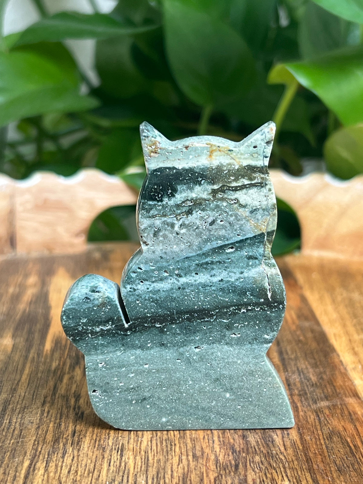Blue Green Jasper Cat: HF