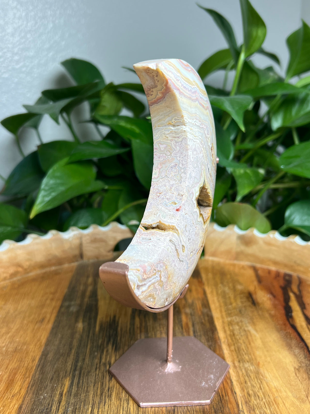 Crazy Lace Agate Large Moon: YP