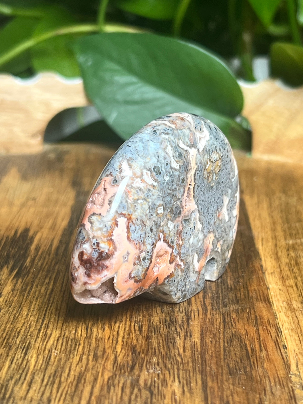 Marcasite Bear: TD