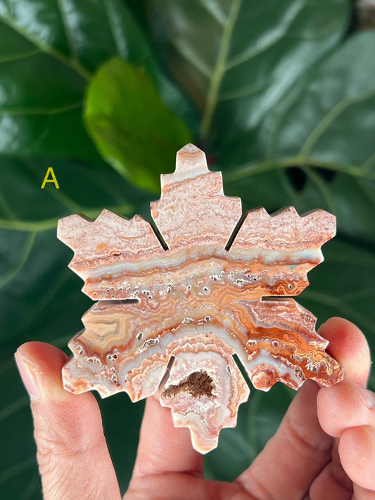 Crazy Lace Agate Snowflake