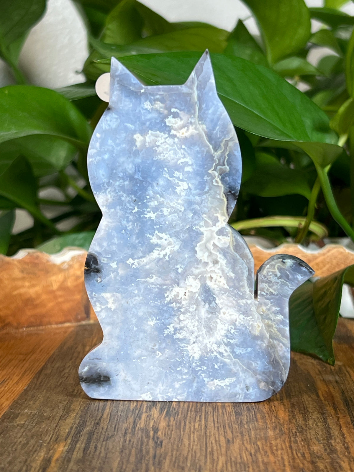 Blue Plume Agate Cats
