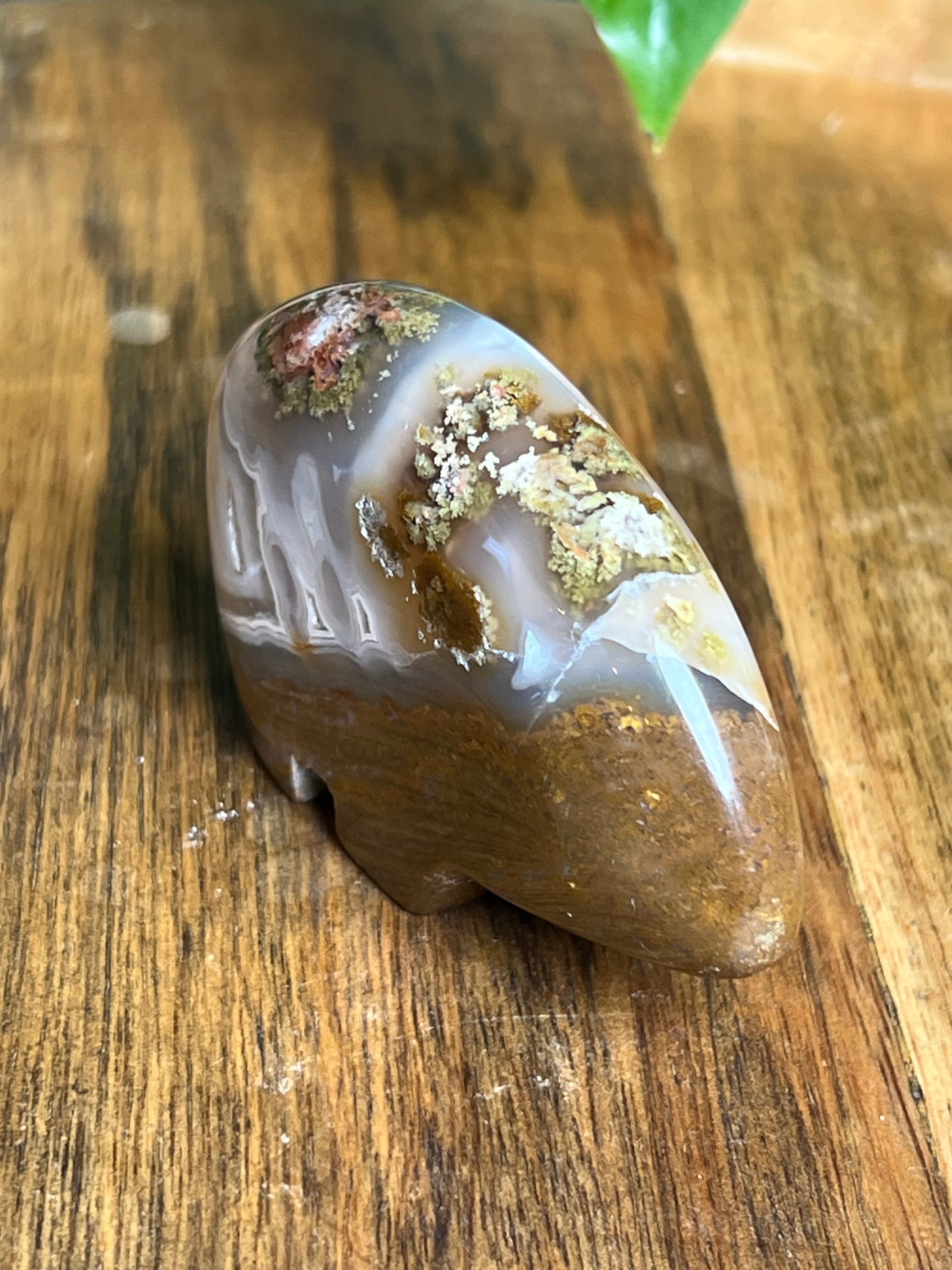 Scenic Moss Agate Bear HF