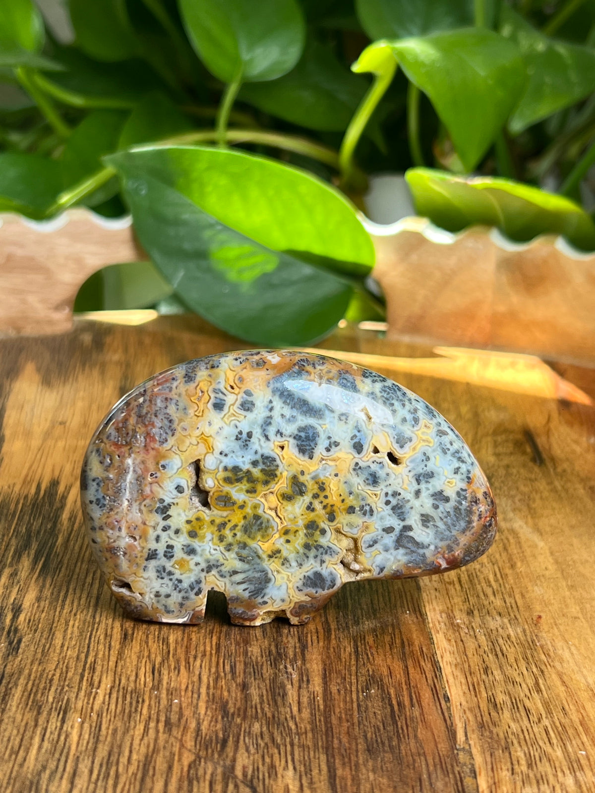 Marcasite Bear: ZA