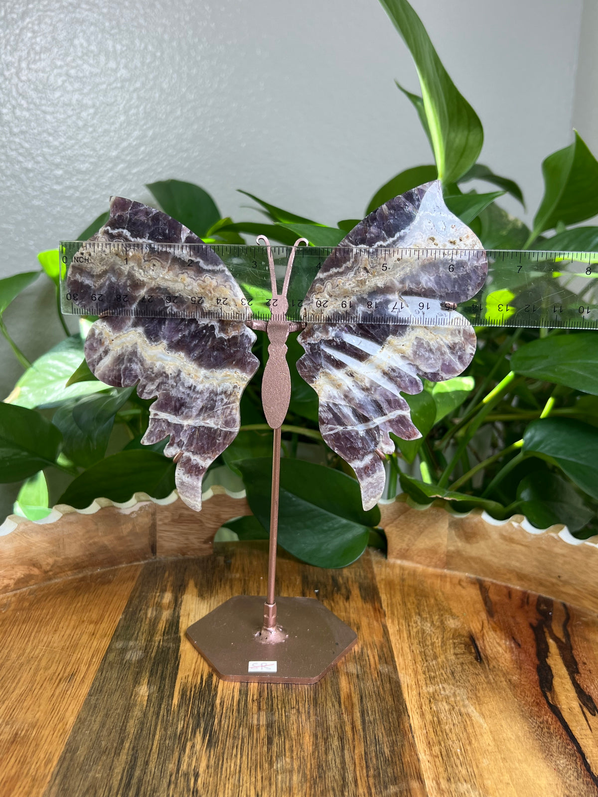 Indonesian Amethyst Wings : SR