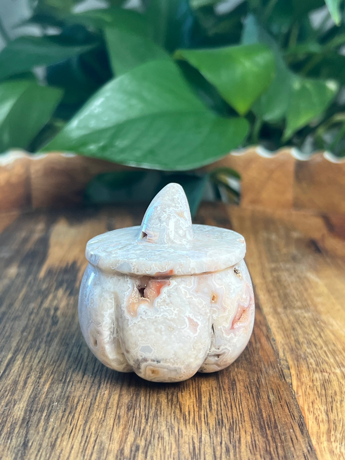 Crazy Lace Agate Pumpkin: D