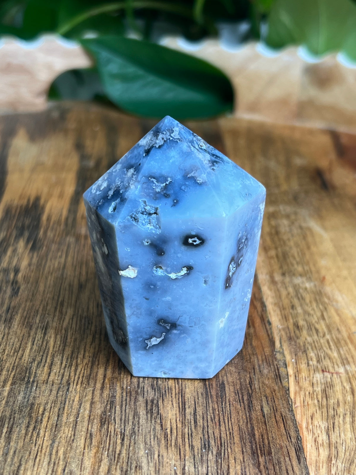 Blue Plume Agate Cupcake: EJ