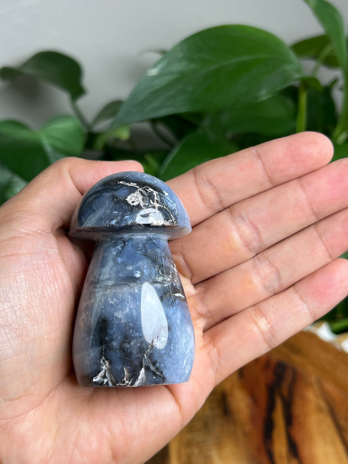 Blue Plume Agate Mushroom: CF