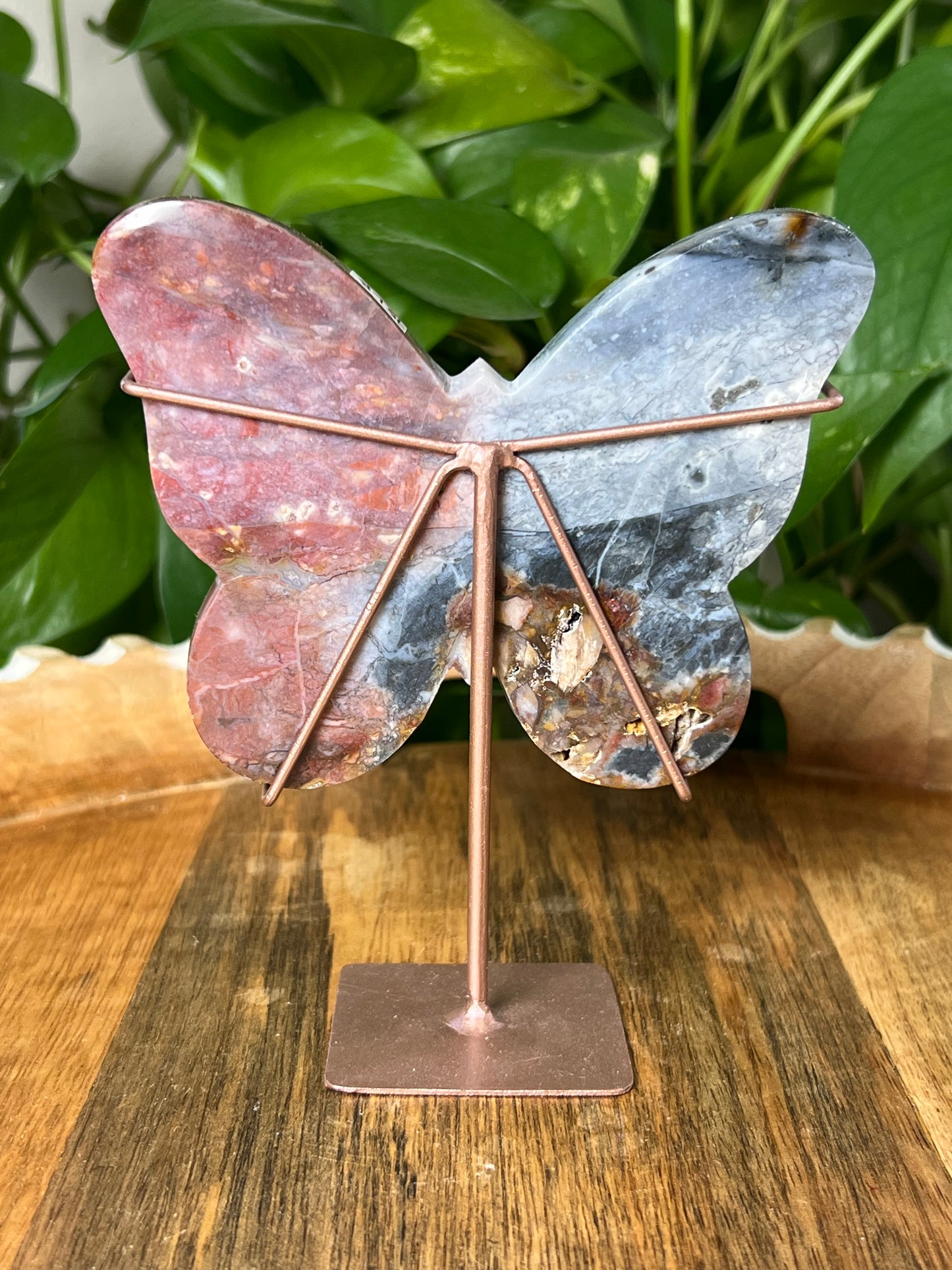 River Jasper Butterfly