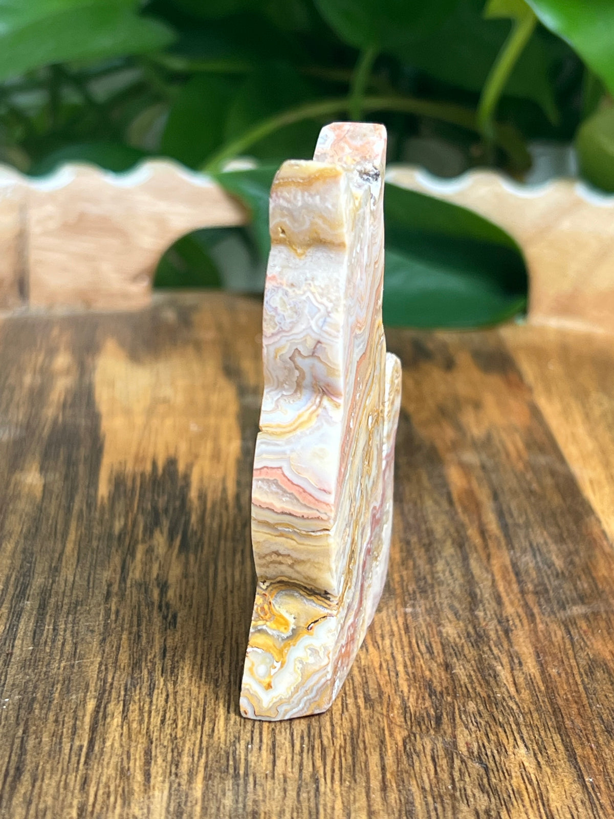 Crazy Lace Agate Cat: QE